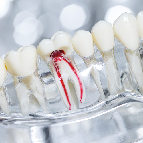 Oral Health Tips For Children
